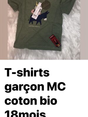 T-shirts Garçon MC coton bio 18 mois