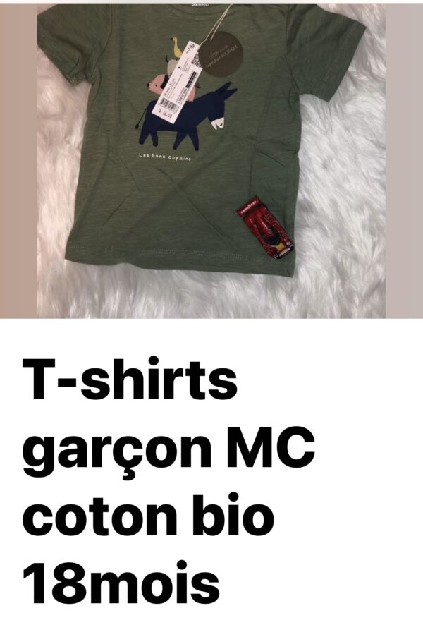 T-shirts Garçon MC coton bio 18 mois